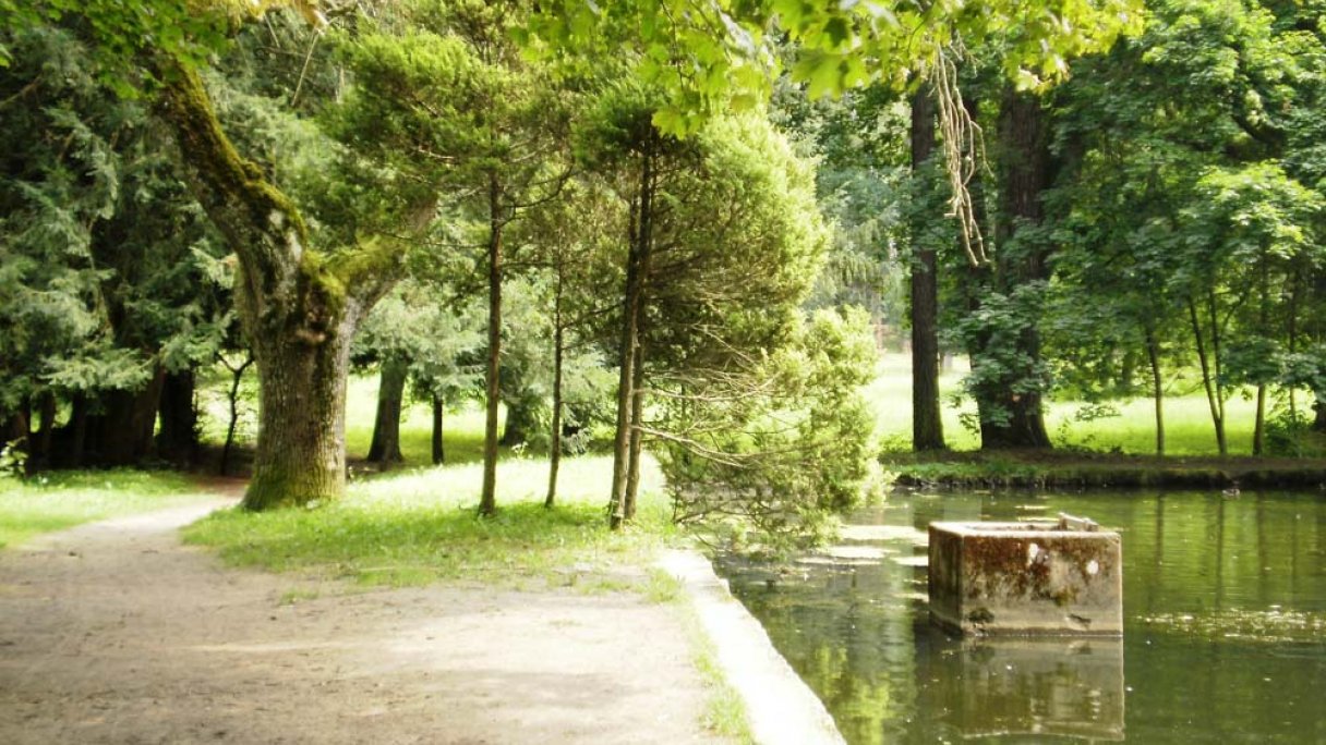 Arboretum - Park Turčianska Štiavnička 2 źródło: https://sk.wikipedia.org/wiki/Tur%C4%8Dianska_%C5%A0tiavni%C4%8Dka