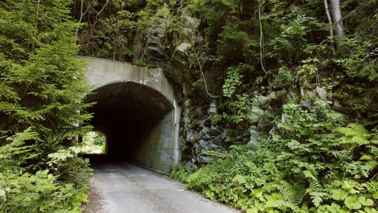 Kelemenov tunel źródło: https://www.lesy.sk/lesy/pre-verejnost/kam-do-prirody/vyznamne-lesnicke-miesta/zoznam/tunel-vojtecha-kelemena.html#&gid=1&pid=4