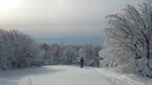Kremenec v zime źródło: https://sk.wikipedia.org/wiki/Kremenec_(vrch_v_Bukovsk%C3%BDch_vrchoch)