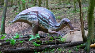 Dino Park Autor: DinoTeam źródło: https://upload.wikimedia.org/wikipedia/commons/c/c5/Maiasaura%2C_DinoPark_Ko%C5%A1ice.jpg